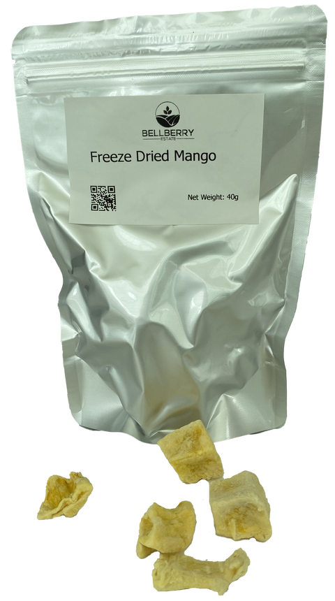 Freeze Dried Mango